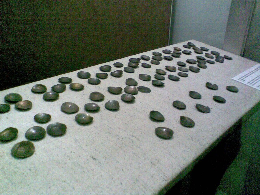 imag022