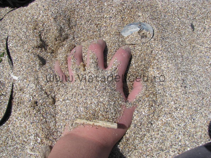 poze-1-mai-la-mare-in-vama-veche-9
