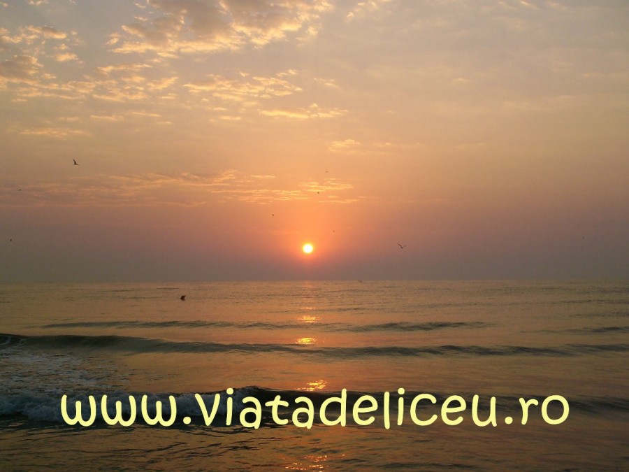 poze-din-vacanta-16