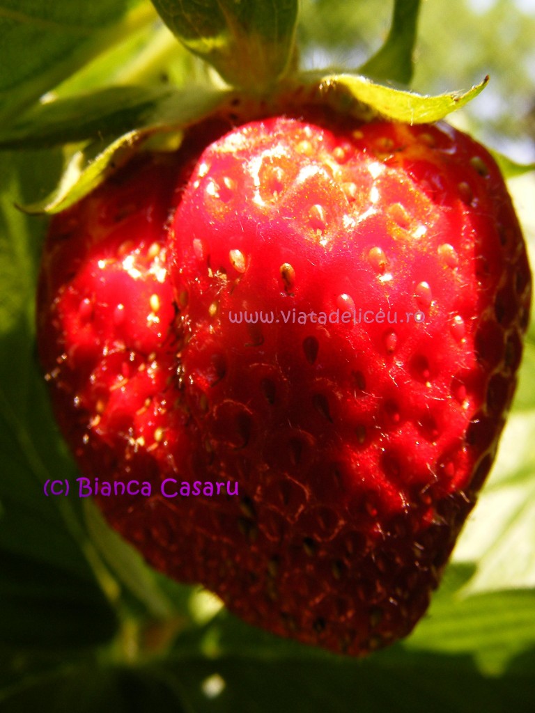 DSCF1170