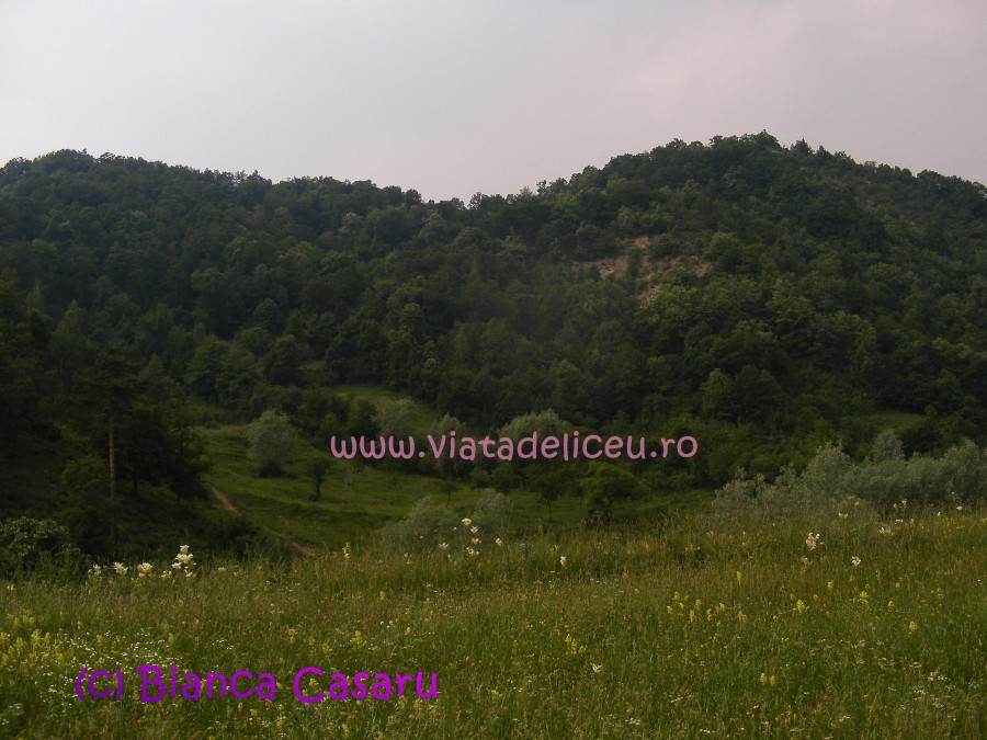 DSCF1200