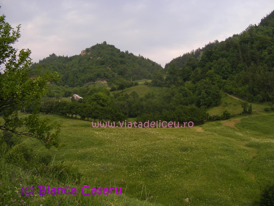 DSCF1209