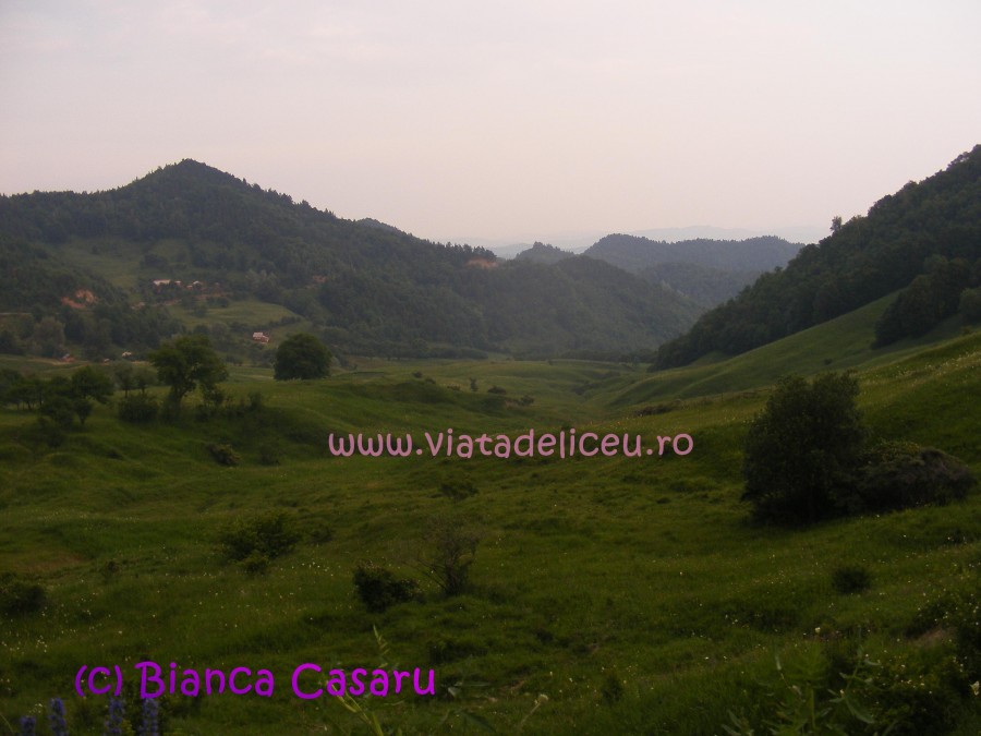 DSCF1218