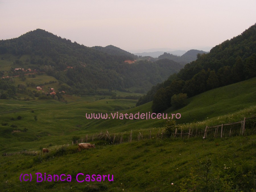 DSCF1221