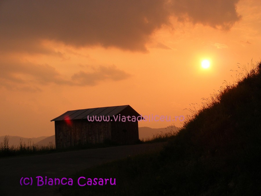 DSCF1222