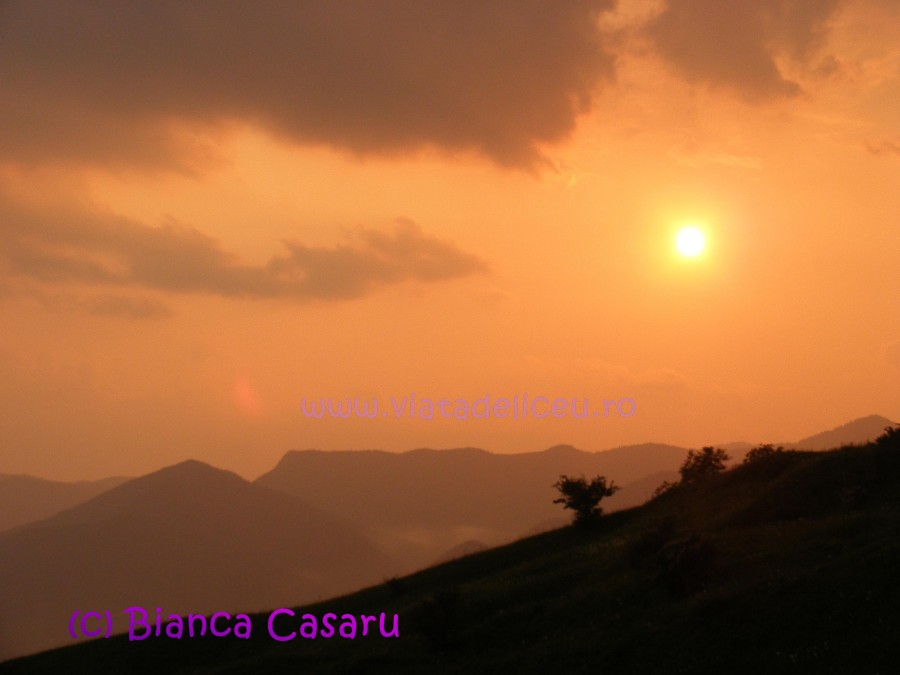 DSCF1224