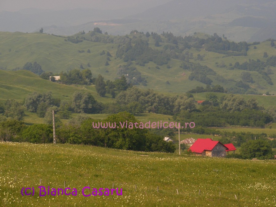 DSCF1241