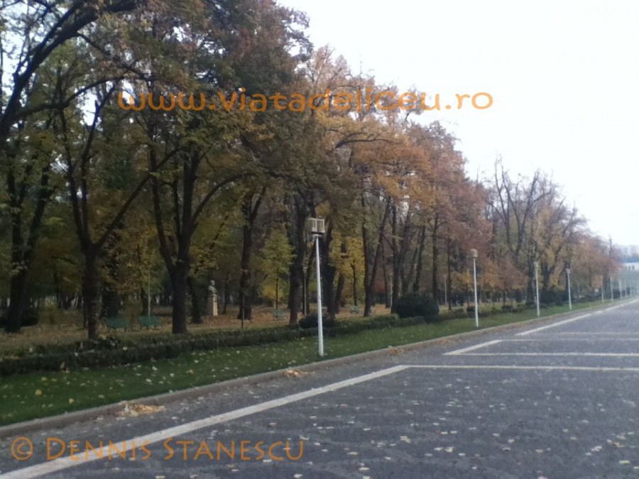 Parcul Carol 12