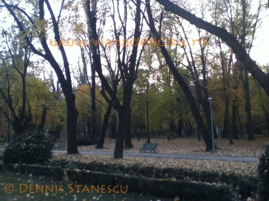 Parcul Carol 11