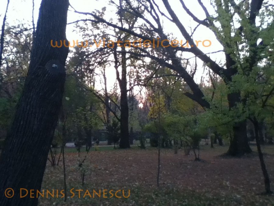 Parcul Carol 8