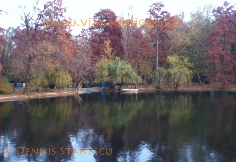 Parcul Carol 7