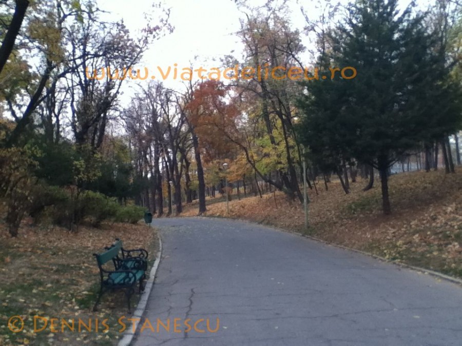 Parcul Carol 3