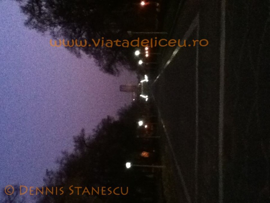 Parcul Carol 14